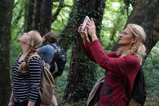 Dublin Coastal Hike with Howth Adventures - Why Howth makes such a good Dublin side trip