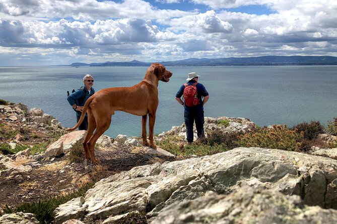 Dublin Coastal Hike with Howth Adventures - St. Mary’s Abbey and Howth’s older stories