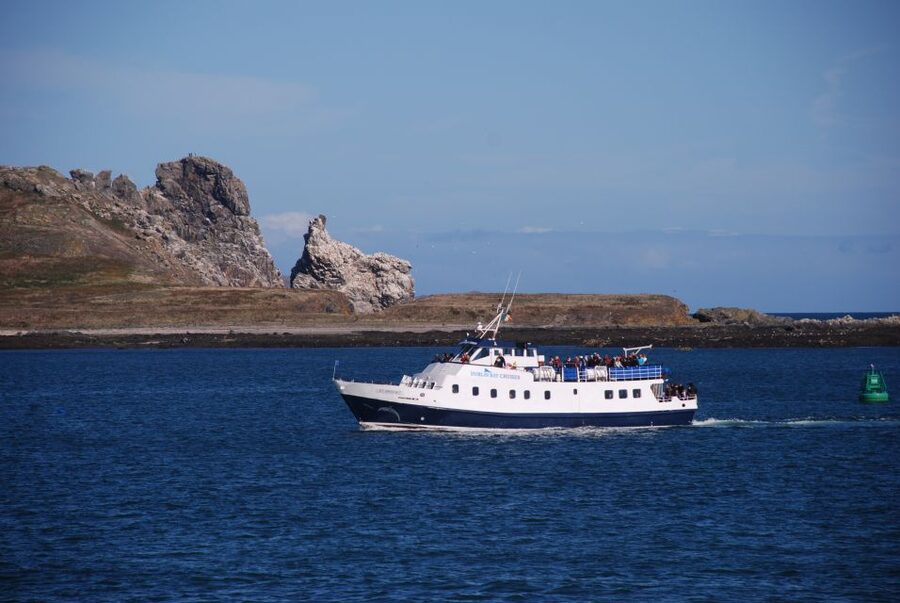 Dublin: Dublin Bay Cruise from Howth to Dun Laoghaire - Key points to know before you sail