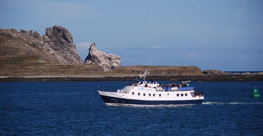 Dublin: Dublin Bay Cruise from Howth to Dun Laoghaire - Why this Dublin Bay cruise is worth your time