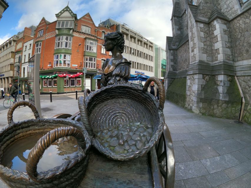 Dublin: Dublin City Highlights Private Guided Walking Tour - Government Buildings and Leinster House
