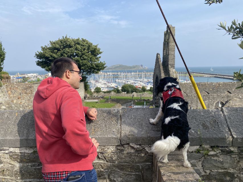 Dublin: Dublin Coastal Hike and Pints & Puppies - Seals, sea air, and the best views