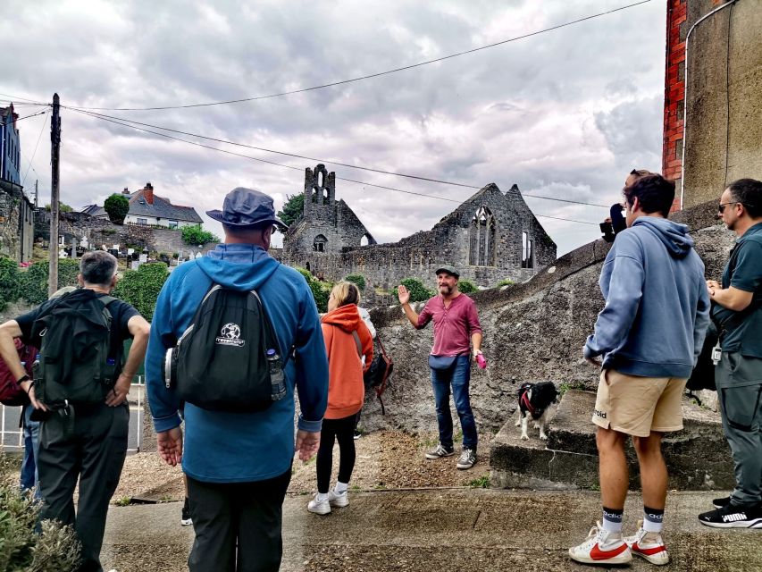 Dublin: Dublin Coastal Hike and Pints & Puppies - A 700-year-old castle and stories of invasion