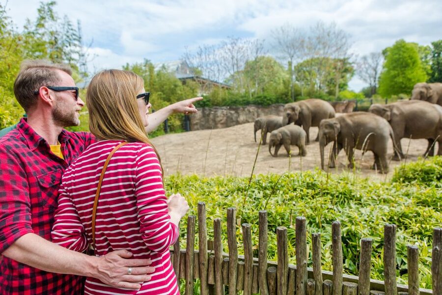 Dublin Explorer Pass: Save up to 50% on 3 to 7 Attractions - Food and specialty experiences