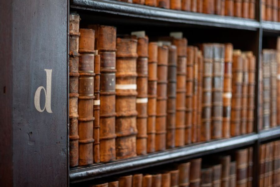 Dublin: Fast-Track Book of Kells Ticket & Dublin Castle Tour - Who should book this tour?
