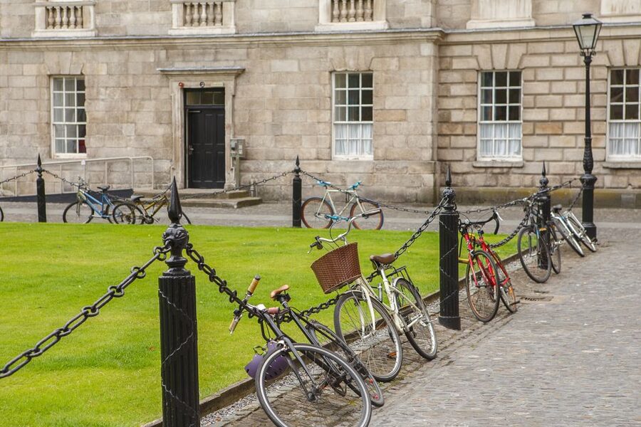 Dublin: Fast-Track Book of Kells Ticket & Dublin Castle Tour - Trinity College, the Long Room, and the new presentation