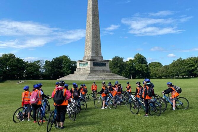 Dublin Full Day Bike Rental - Choosing Between a Standard Bike, E-Bike, and Tandem