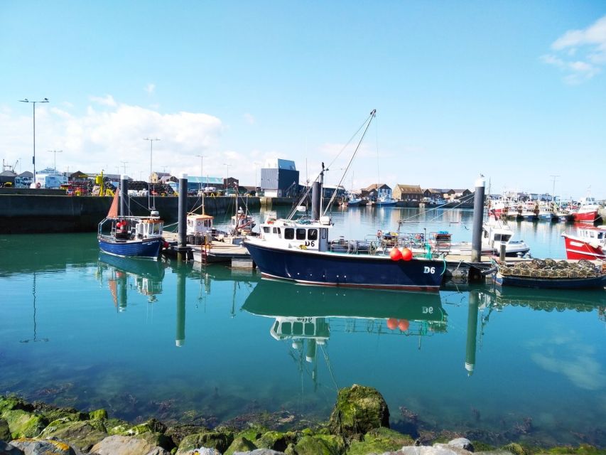 Dublin: Full-Day Howth and Malahide Castle Tour - The villages, parks, and beaches between stops