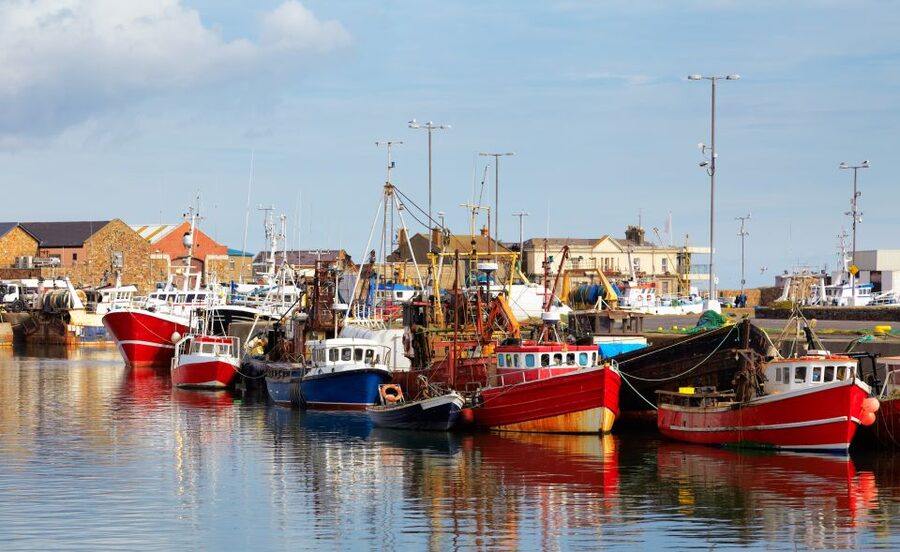 Dublin: Full-Day Howth and Malahide Castle Tour - The return through Bull Island and Fairview