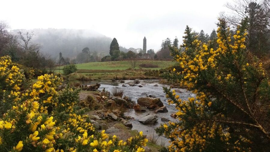 Dublin: Full-Day Wicklow Mountains Tour w/ Glendalough Visit - Powerscourt gardens: a change from ruins to formal design