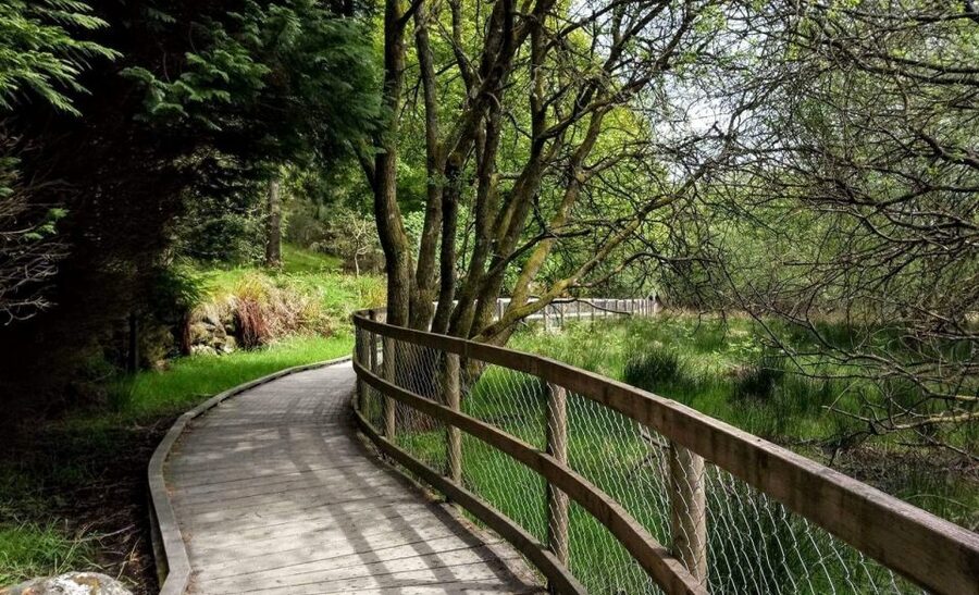 Dublin: Full-Day Wicklow Mountains Tour w/ Glendalough Visit - Practical ways to get more from the day
