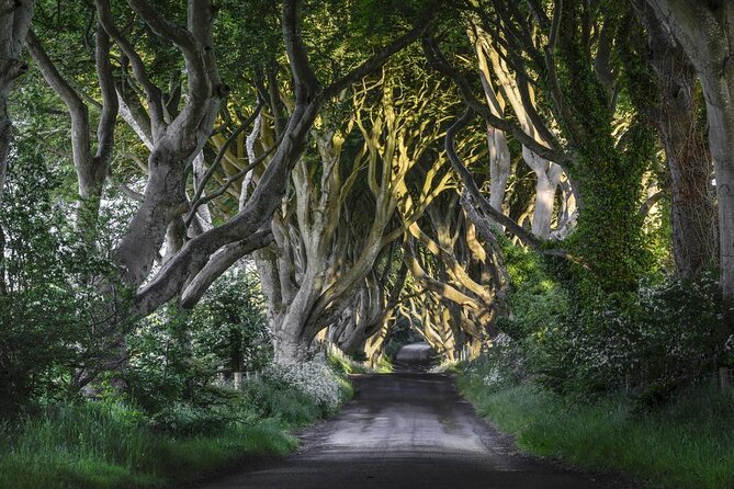 Dublin: Giant's Causeway, Dark Hedges, Dunluce and Belfast Titanic entrance fee - What makes this Northern Ireland day trip worth considering