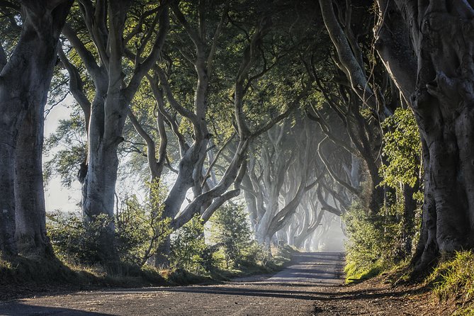 Dublin: Giant's Causeway, Dark Hedges, Dunluce and Belfast Titanic entrance fee - Titanic Belfast, with 90 minutes inside