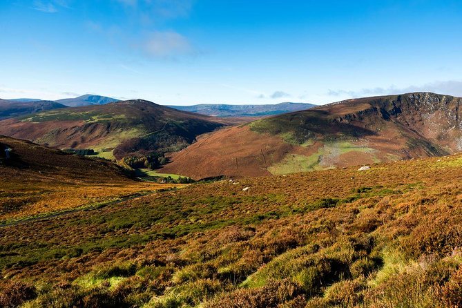 Dublin: Glendalough, Wicklow, Kilkenny and Sheepdog demonstration - Two hours in medieval Kilkenny