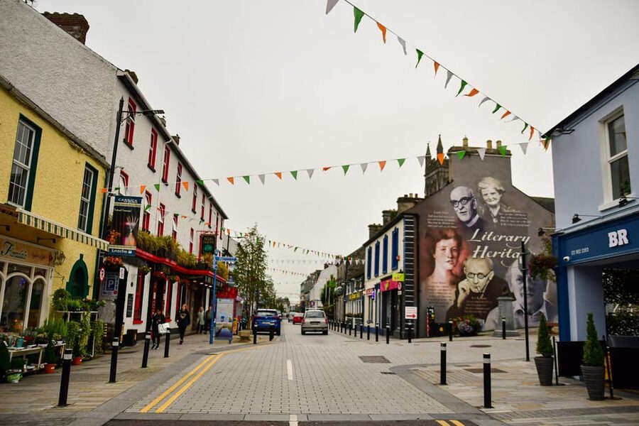 Dublin: Historical and Cultural Historical Walking Tour - Christ Church Cathedral and Dublin Castle