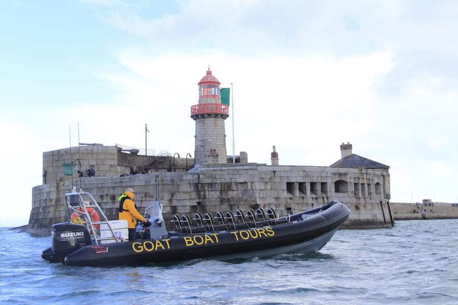 Dublin: History and Wildlife Boat Tour with Live Commentary - Wildlife watching across Dublin Bay