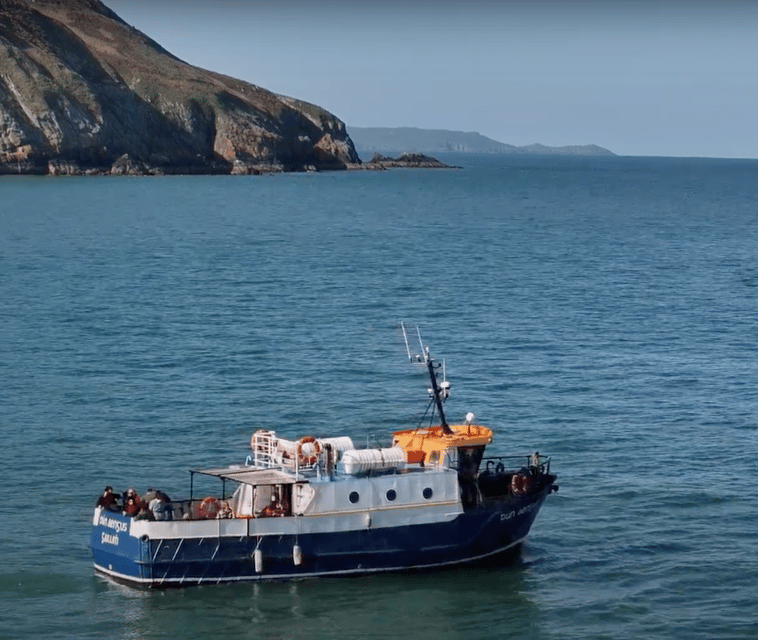 Dublin: Howth Cliffs and Lighthouse Boat Tour - Key points to know before you go