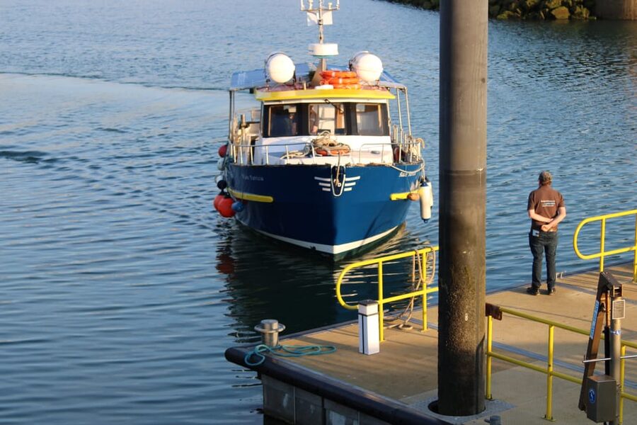 Dublin: Howth Cliffs and Lighthouse Boat Tour - The short cruise along Dublin Bay