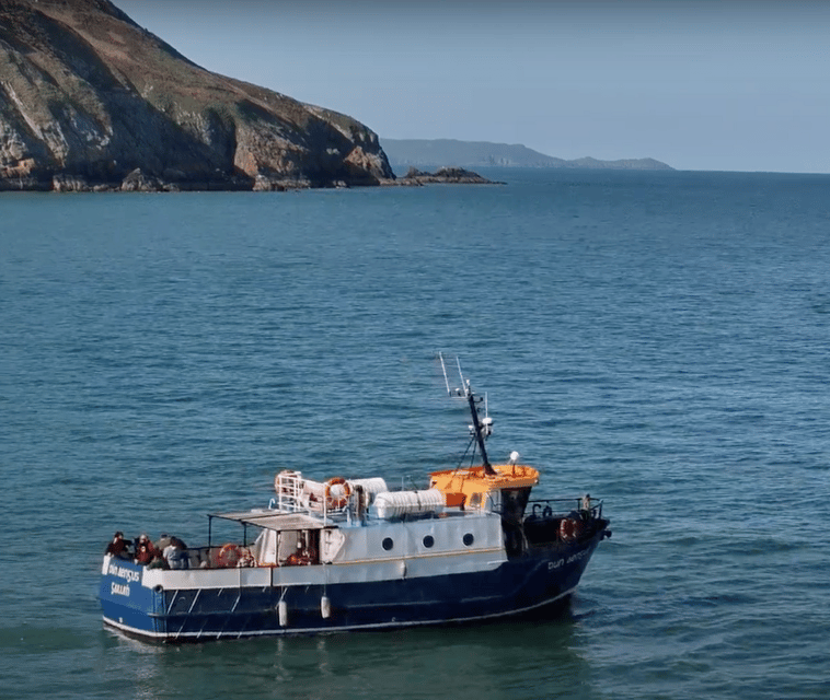 Dublin: Howth Cliffs and Lighthouse Boat Tour - Wildlife in the Dublin Bay Biosphere