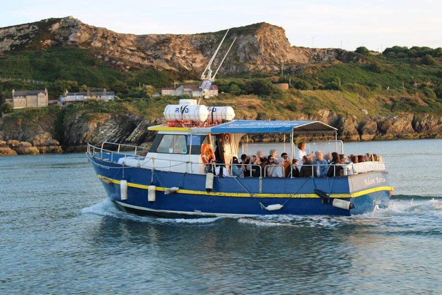 Dublin: Howth Cliffs and Lighthouse Boat Tour - How weather changes the experience