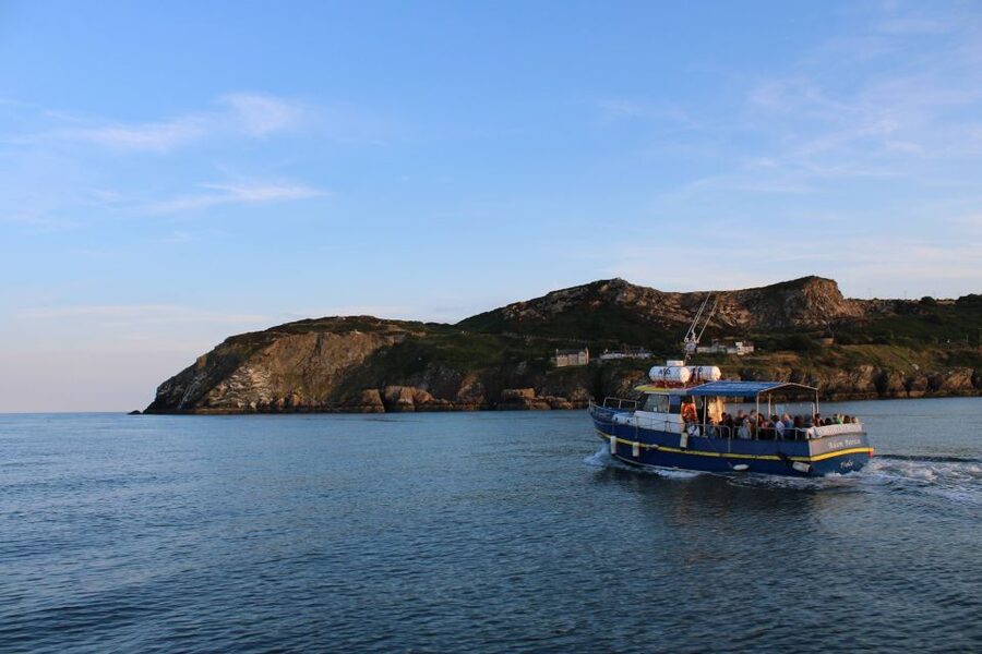 Dublin: Howth Cliffs and Lighthouse Cruise - Howth Cliffs from sea level