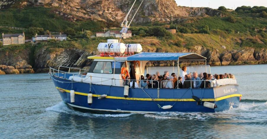 Dublin: Howth Cliffs and Lighthouse Cruise - What the captain adds