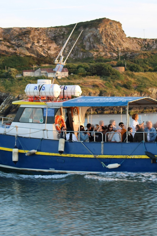 Dublin: Howth Coast and Ireland's Eye Boat Tour - Key points before you book