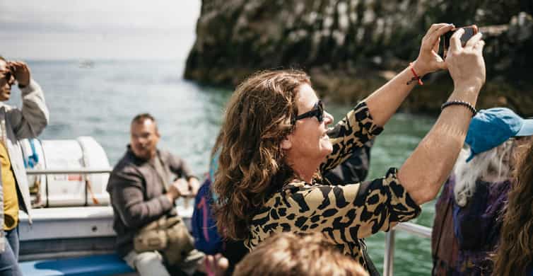 Dublin: Howth Coastal Boat Tour - Key points to know before you book