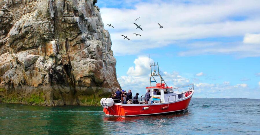 Dublin: Howth Coastal Boat Tour - Ireland’s Eye and the rocky island waterline