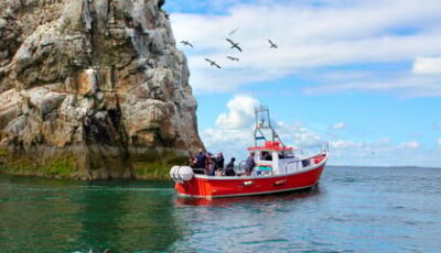 Howth Coastal Boat Tour