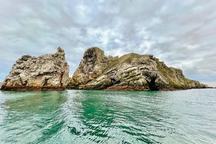 Dublin: Howth Coastal Boat Tour - Is $28 a fair price?
