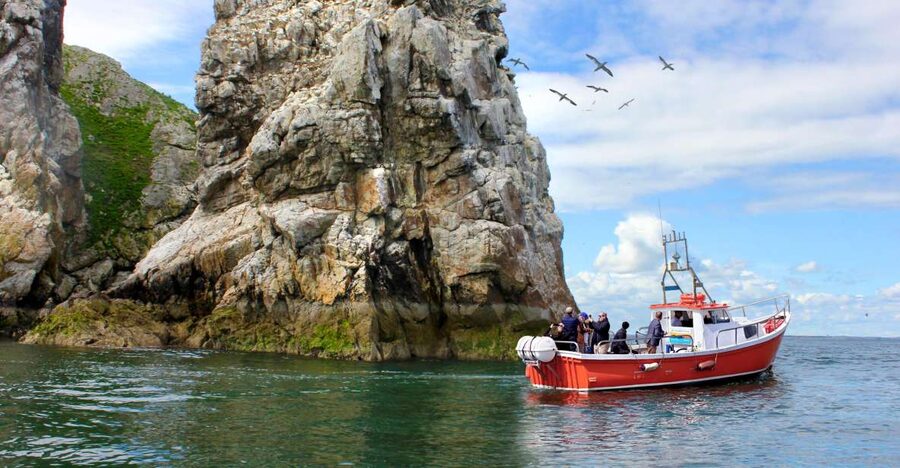 Dublin: Howth Coastal Boat Tour - Practical advice for a better ride