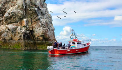 Dublin: Howth Coastal Boat Tour - Cruising beneath the Howth Cliffs