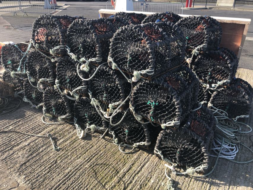 Dublin: Howth Coastal Craft Beer and Seafood Tour - Is $112 good value?