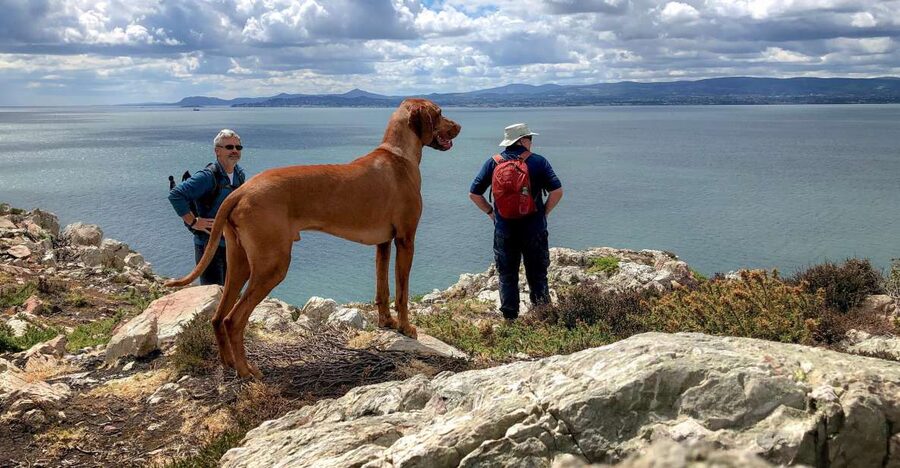 Dublin: Howth Coastal Hiking Tour - Key details before you book