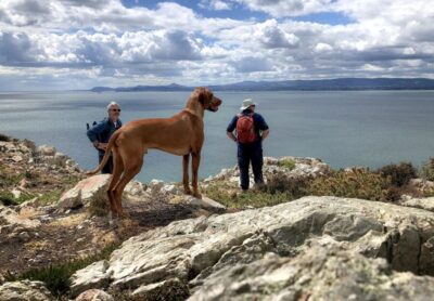 Howth Coastal Hiking Tour