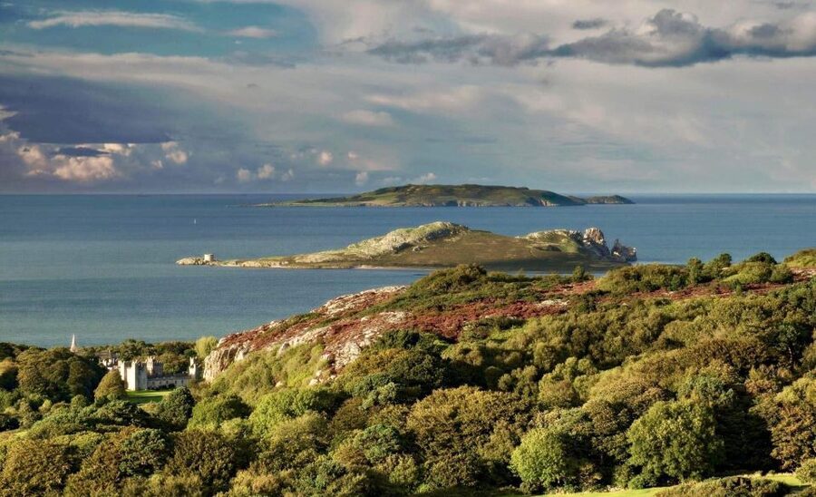 Dublin: Howth Coastal Hiking Tour - Through the village and up toward Ben of Howth