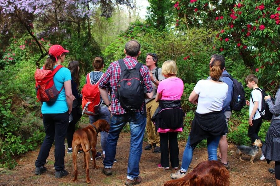 Dublin: Howth Coastal Hiking Tour - Heathland, wildflowers, and quieter trails