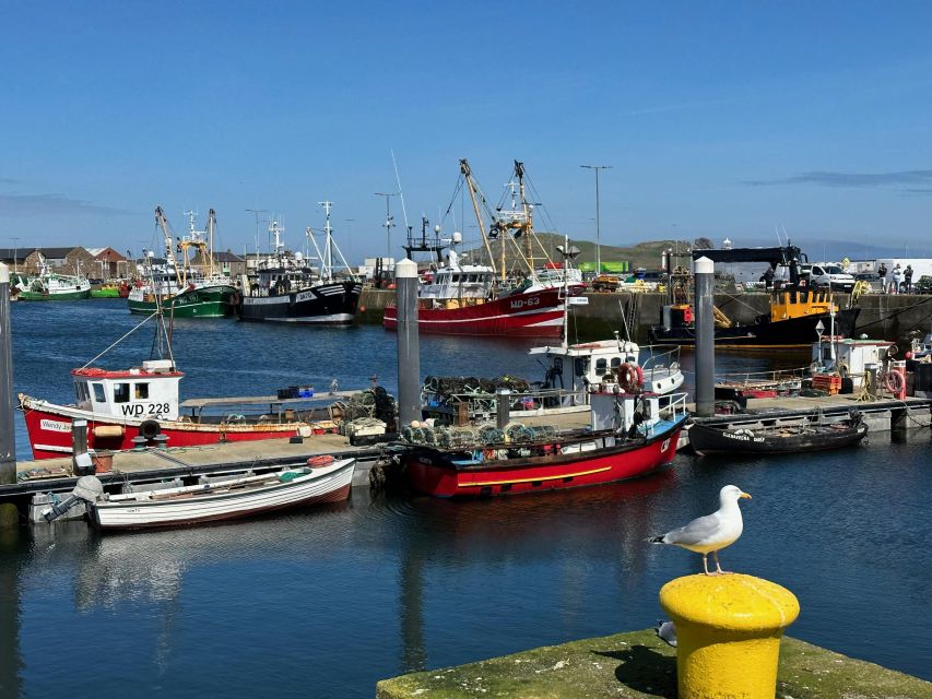 Dublin: Howth Coastal Hiking Tour - Who should choose this three-hour hike?