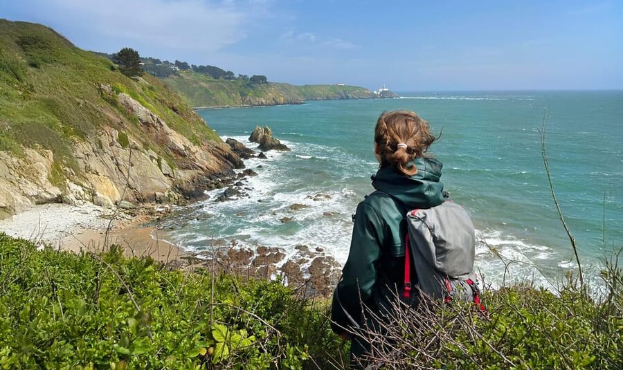 Dublin: Howth Safari Hiking Tour - Why this Howth hike is different from a standard coastal walk