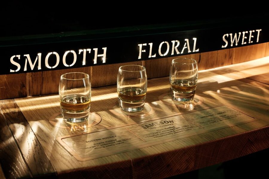 Dublin: Jameson and Guinness Private Tour with Transfers - Should you book the Dublin Jameson and Guinness tour?