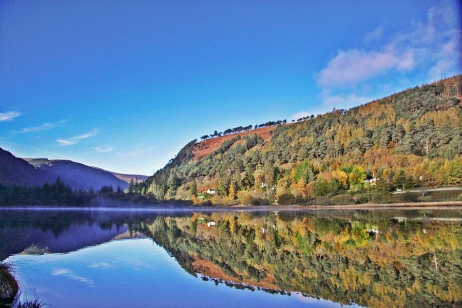 Dublin: Kilkenny, Wicklow & Glendalough Tour & Sheepdog Show - Kilkenny in two hours