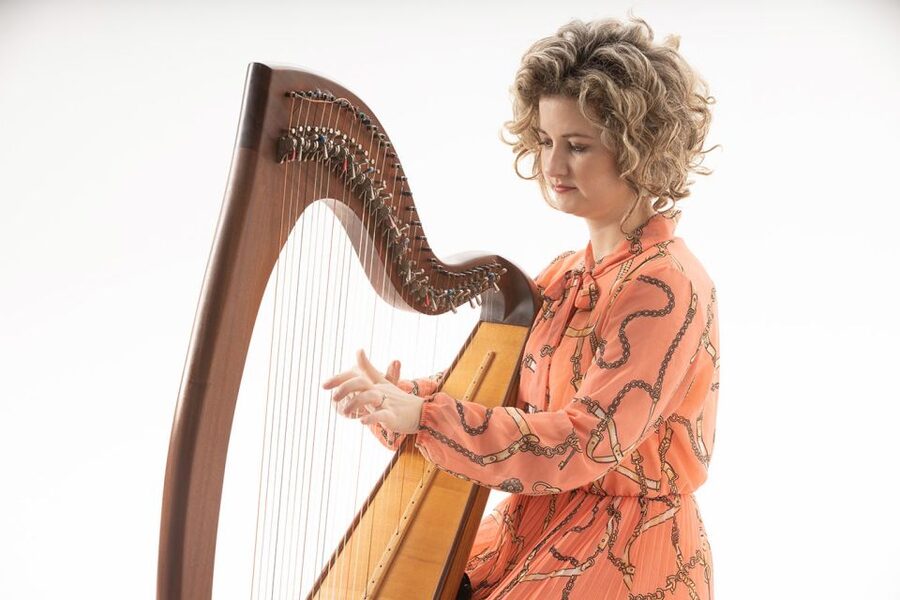 Dublin: Music and Dance Show at The Irish House Party - Hearing the harp, uilleann pipes, and bodhrán up close