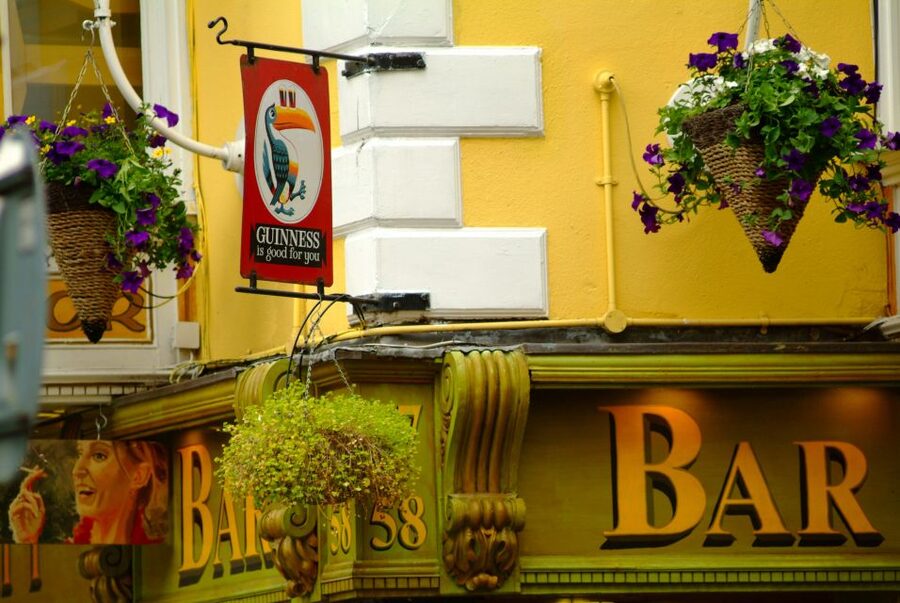 Dublin: Private City Tour in German - A German-language Dublin tour built around your interests