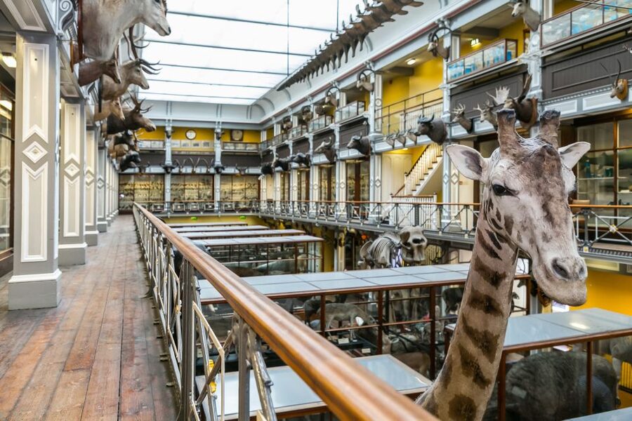 Dublin: The Dublin Pass with Tickets to 40+ Attractions - How much can you save?