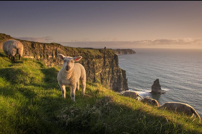 Dublin to Cliffs of Moher, Ennis Town & Bunratty Castle Day Tour - What is included, and where the value lies