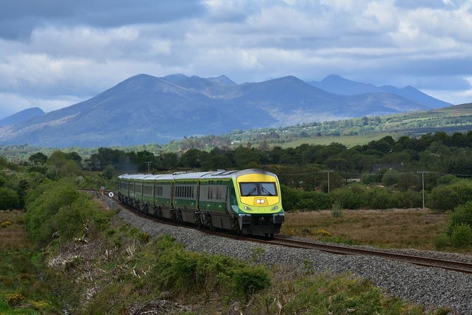 Dublin to Cork, Blarney Castle & Cóbh Heritage Centre by train - Who will get the most from this tour?