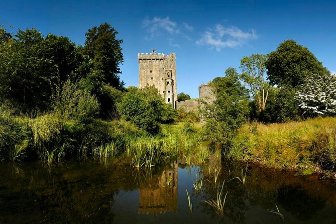 Dublin to Rock of Cashel, Cork City & Blarney Castle Guided Tour - Is $95.53 good value?