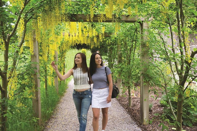 Dublin to Rock of Cashel, Cork City & Blarney Castle Guided Tour - One hour among the ruins at Rock of Cashel
