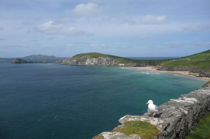 Dublin to South West 5 Day Small-Group Tour with Accommodation - Day 5: Blarney, Kinsale, and the Rock of Cashel